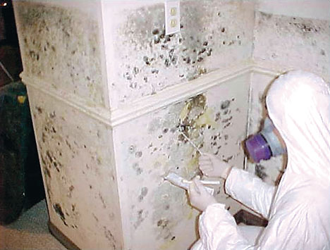 CleanliNEST™'s Connie Morbach All Suited Up Taking Mold Samples